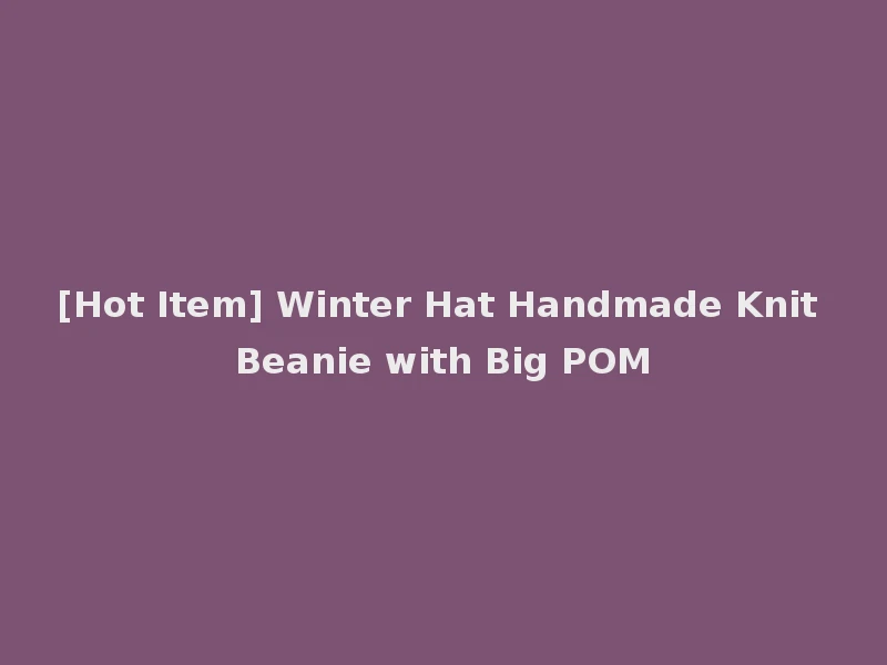 [Hot Item] Winter Hat Handmade Knit Beanie with Big POM