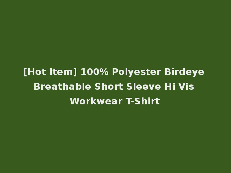 [Hot Item] 100% Polyester Birdeye Breathable Short Sleeve Hi Vis Workwear T-Shirt