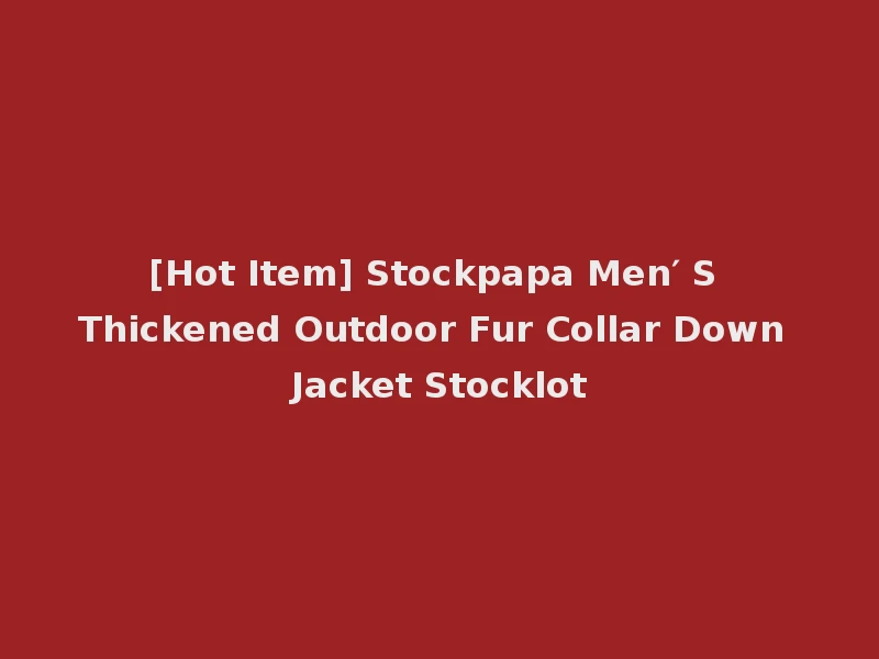 [Hot Item] Stockpapa Men′ S Thickened Outdoor Fur Collar Down Jacket Stocklot