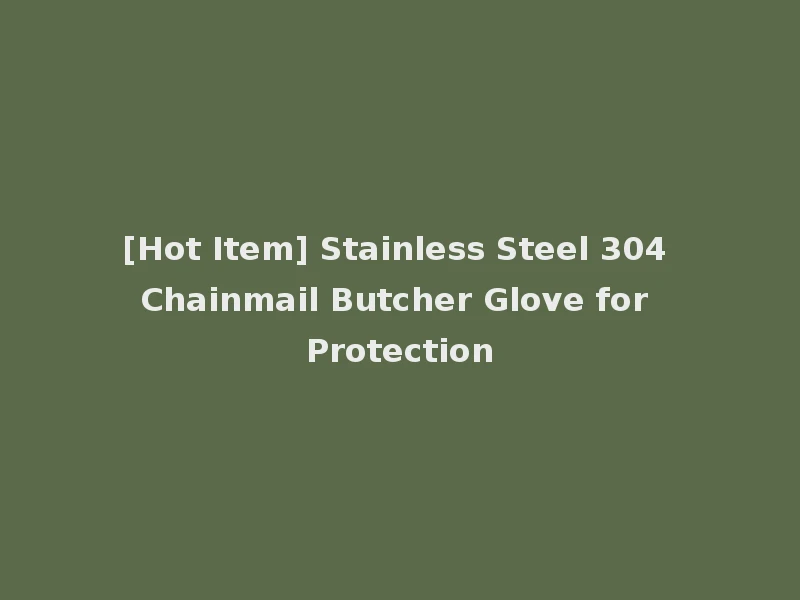 [Hot Item] Stainless Steel 304 Chainmail Butcher Glove for Protection
