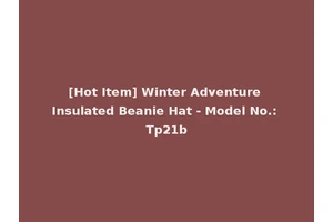 [Hot Item] Winter Adventure Insulated Beanie Hat - Model No.: Tp21b