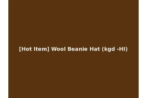 [Hot Item] Wool Beanie Hat (kgd -HI)