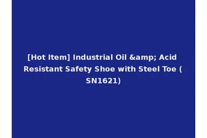 [Hot Item] Industrial Oil &amp; Acid Resistant Safety Shoe with Steel Toe (SN1621)
