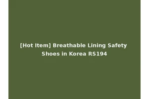 [Hot Item] Breathable Lining Safety Shoes in Korea RS194