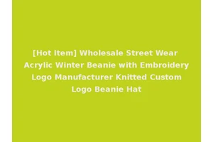 [Hot Item] Wholesale Street Wear Acrylic Winter Beanie with Embroidery Logo Manufacturer Knitted Custom Logo Beanie Hat