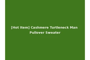 [Hot Item] Cashmere Turtleneck Man Pullover Sweater