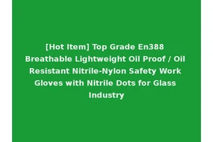 [Hot Item] Top Grade En388 Breathable Lightweight Oil Proof / Oil Resistant Nitrile-Nylon Safety Work Gloves with Nitrile Dots for Glass Industry