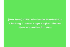[Hot Item] OEM Wholesale Men's Clothing Custom Logo Raglan Sleeve Fleece Hoodies for Men