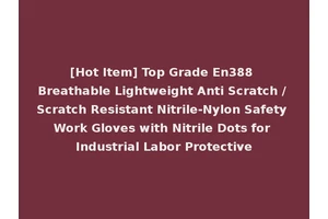 [Hot Item] Top Grade En388 Breathable Lightweight Anti Scratch / Scratch Resistant Nitrile-Nylon Safety Work Gloves with Nitrile Dots for Industrial Labor Protective