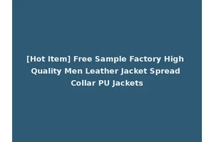 [Hot Item] Free Sample Factory High Quality Men Leather Jacket Spread Collar PU Jackets