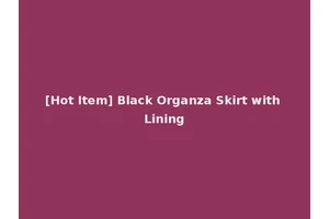 [Hot Item] Black Organza Skirt with Lining