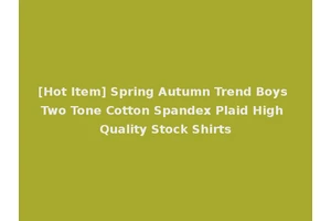 [Hot Item] Spring Autumn Trend Boys Two Tone Cotton Spandex Plaid High Quality Stock Shirts