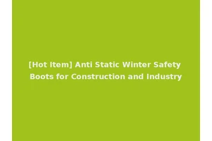 [Hot Item] Anti Static Winter Safety Boots for Construction and Industry