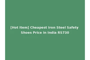 [Hot Item] Cheapest Iron Steel Safety Shoes Price in India RS730