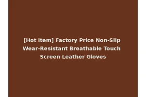 [Hot Item] Factory Price Non-Slip Wear-Resistant Breathable Touch Screen Leather Gloves