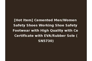 [Hot Item] Cemented Men/Women Safety Shoes Working Shoe Safety Footwear with High Quality with Ce Certificate with EVA/Rubber Sole (SN5730)