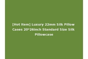 [Hot Item] Luxury 22mm Silk Pillow Cases 20*26inch Standard Size Silk Pillowcase
