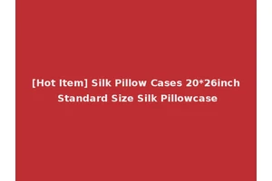 [Hot Item] Silk Pillow Cases 20*26inch Standard Size Silk Pillowcase