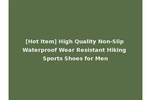 [Hot Item] High Quality Non-Slip Waterproof Wear Resistant Hiking Sports Shoes for Men