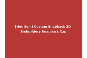 [Hot Item] Custom Snapback 3D Embroidery Snapback Cap