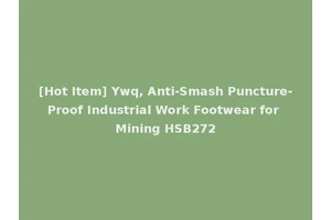 [Hot Item] Ywq, Anti-Smash Puncture-Proof Industrial Work Footwear for Mining HSB272