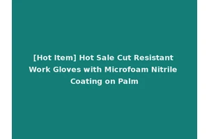 [Hot Item] Hot Sale Cut Resistant Work Gloves with Microfoam Nitrile Coating on Palm