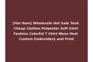 [Hot Item] Wholesale Hot Sale Tank Cheap Clothes Polyester Soft Shirt Fashion Colorful T Shirt Mens Vest Custom Embroidery and Print