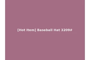 [Hot Item] Baseball Hat 3209#