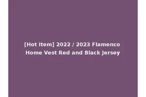 [Hot Item] 2022 / 2023 Flamenco Home Vest Red and Black Jersey