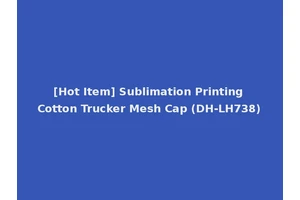 [Hot Item] Sublimation Printing Cotton Trucker Mesh Cap (DH-LH738)