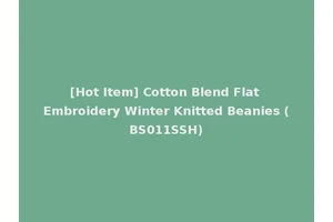 [Hot Item] Cotton Blend Flat Embroidery Winter Knitted Beanies (BS011SSH)