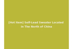 [Hot Item] Self-Lead Sweater Located in The North of China