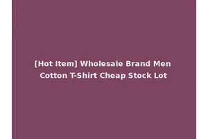 [Hot Item] Wholesale Brand Men Cotton T-Shirt Cheap Stock Lot
