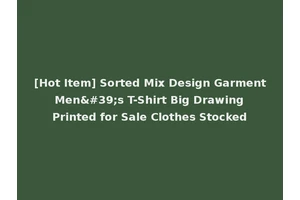[Hot Item] Sorted Mix Design Garment Men's T-Shirt Big Drawing Printed for Sale Clothes Stocked