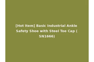 [Hot Item] Basic Industrial Ankle Safety Shoe with Steel Toe Cap (SN1666)