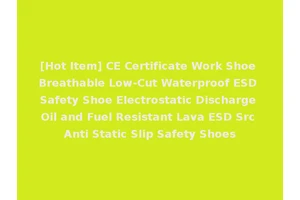 [Hot Item] CE Certificate Work Shoe Breathable Low-Cut Waterproof ESD Safety Shoe Electrostatic Discharge Oil and Fuel Resistant Lava ESD Src Anti Static Slip Safety Shoes