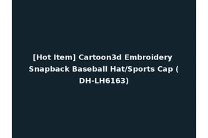 [Hot Item] Cartoon3d Embroidery Snapback Baseball Hat/Sports Cap (DH-LH6163)
