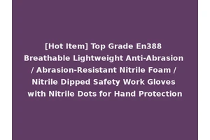 [Hot Item] Top Grade En388 Breathable Lightweight Anti-Abrasion / Abrasion-Resistant Nitrile Foam / Nitrile Dipped Safety Work Gloves with Nitrile Dots for Hand Protection