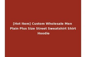 [Hot Item] Custom Wholesale Men Plain Plus Size Street Sweatshirt Shirt Hoodie