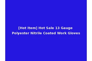 [Hot Item] Hot Sale 13 Gauge Polyester Nitrile Coated Work Gloves