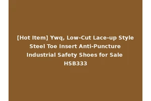 [Hot Item] Ywq, Low-Cut Lace-up Style Steel Toe Insert Anti-Puncture Industrial Safety Shoes for Sale HSB333