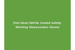 [Hot Item] Nitrile Coated Safety Working Gloves/Labor Gloves