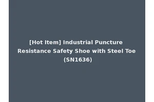 [Hot Item] Industrial Puncture Resistance Safety Shoe with Steel Toe (SN1636)