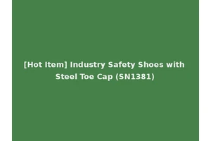 [Hot Item] Industry Safety Shoes with Steel Toe Cap (SN1381)