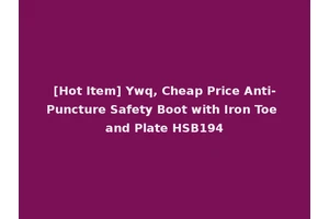 [Hot Item] Ywq, Cheap Price Anti-Puncture Safety Boot with Iron Toe and Plate HSB194