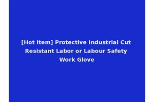 [Hot Item] Protective Industrial Cut Resistant Labor or Labour Safety Work Glove