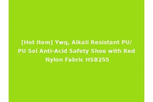 [Hot Item] Ywq, Alkali Resistant PU/PU Sol Anti-Acid Safety Shoe with Red Nylon Fabric HSB255