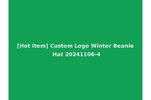 [Hot Item] Custom Logo Winter Beanie Hat 20241106-4