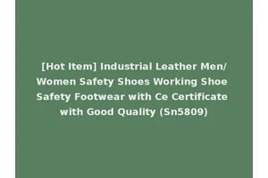 [Hot Item] Industrial Leather Men/Women Safety Shoes Working Shoe Safety Footwear with Ce Certificate with Good Quality (Sn5809)