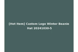 [Hot Item] Custom Logo Winter Beanie Hat 20241030-5